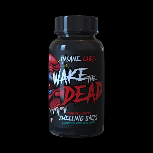 INSANE LABZ WAKE THE DEAD