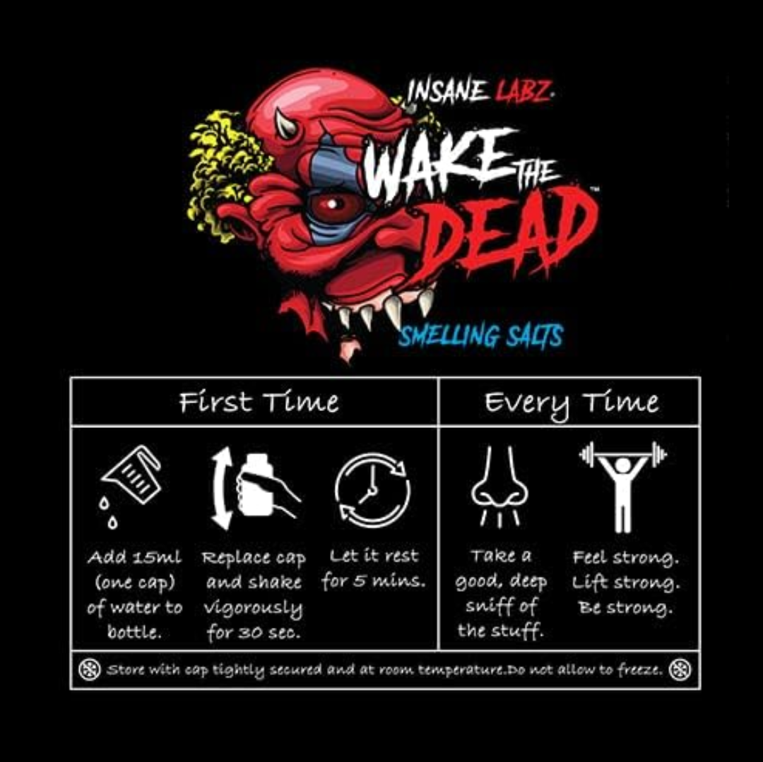 INSANE LABZ WAKE THE DEAD